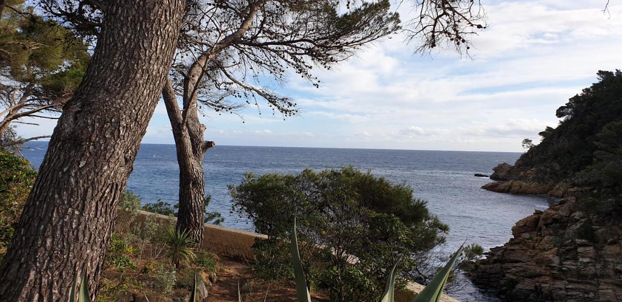 Maison Provencale Cavalaire-sur-Mer Bagian luar foto